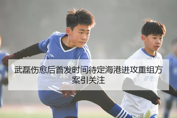 武磊伤愈后首发时间待定海港进攻重组方案引关注